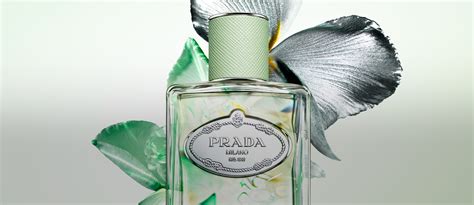 prada les infusions de prada|prada infusion diris.